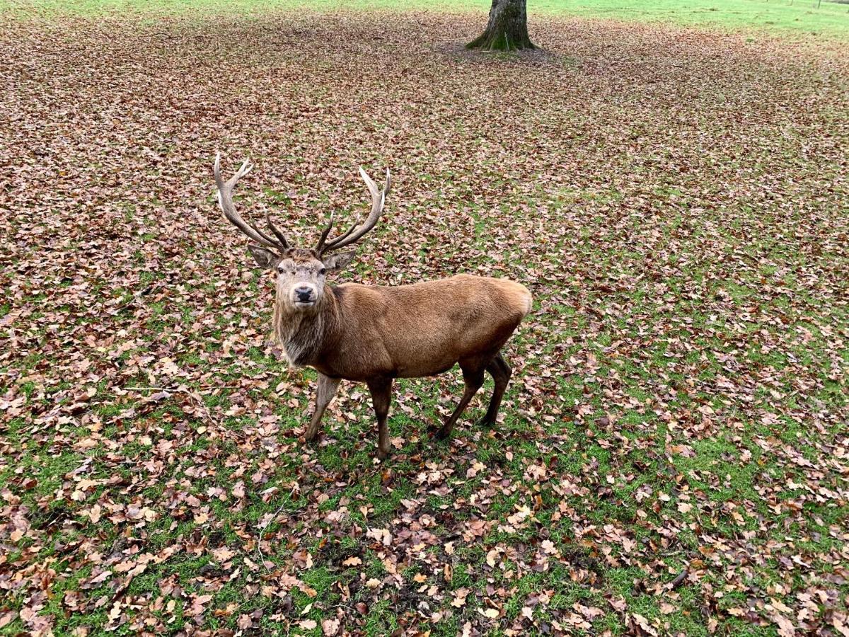 ホテルBlair Atholl River Tilt Park Wee But N Ben エクステリア 写真